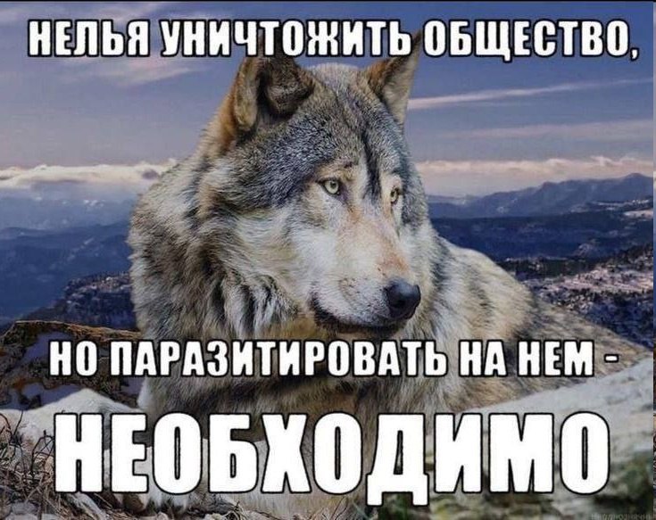 НЕЛЬЯ УНИЧТОЖИТЬ ОБЩЕСТВО, НО ПАРАЗИТИРОВАТЬ НА НЕМ НЕОБХОДИМО