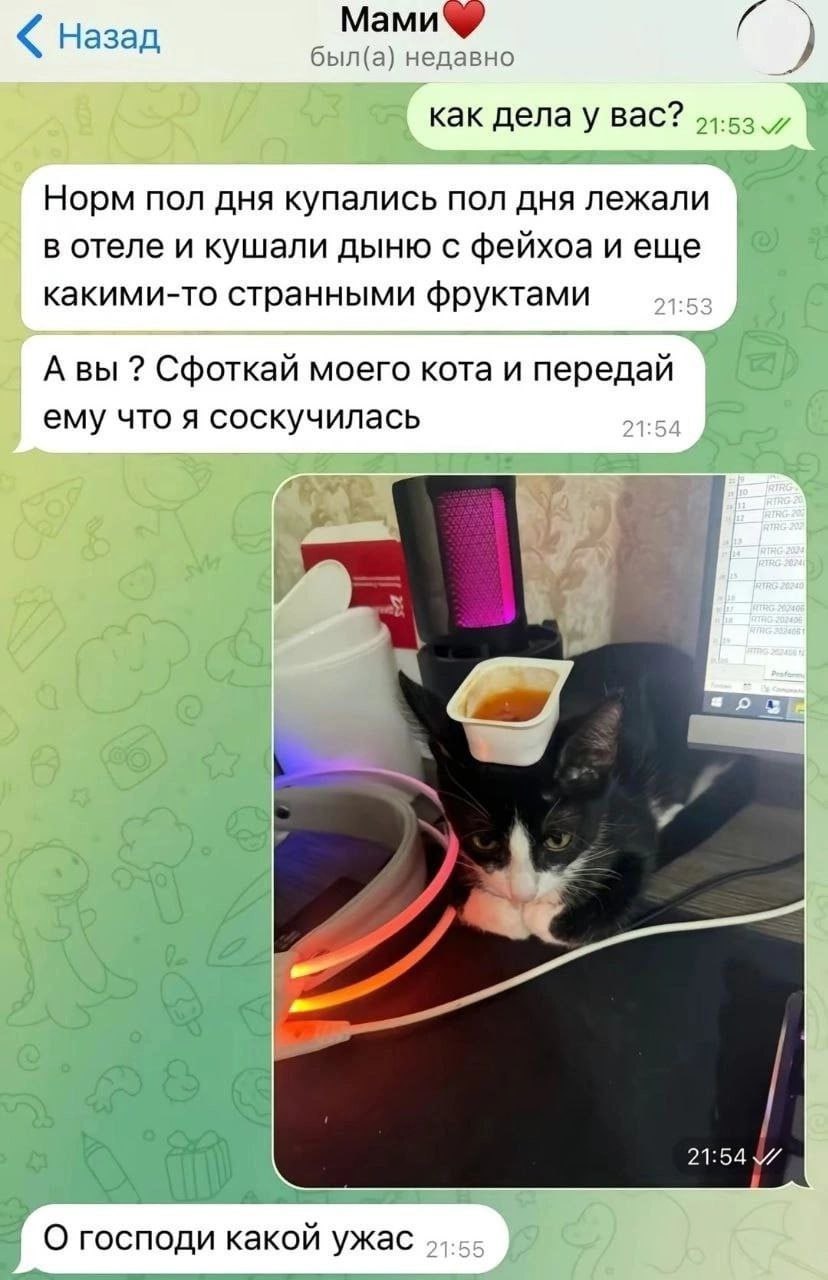Назад был(а) недавно У как вас? Норм пол дня купались пол дня лежали в отеле и кушали дыню с фейхоа и еще какими-то странными фруктами А вы Сфоткай моего кота и передай ему что я соскучилась 7 у госпо