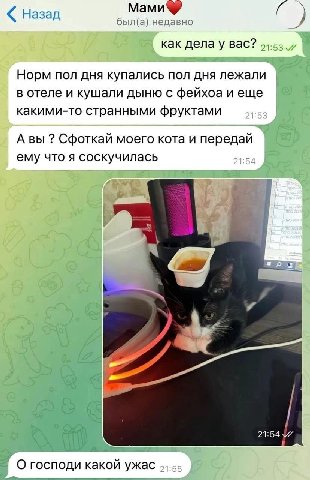 Назад был(а) недавно У как вас? Норм пол дня купались пол дня лежали в отеле и кушали дыню с фейхоа и еще какими-то странными фруктами А вы Сфоткай моего кота и передай ему что я соскучилась 7 у госпо
