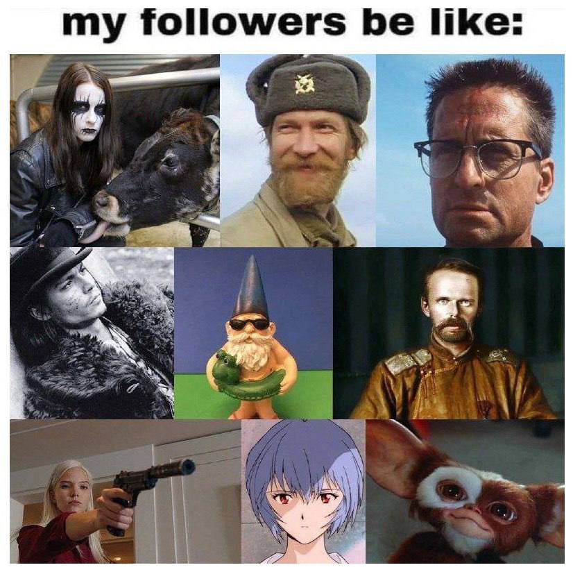 my followers be like: