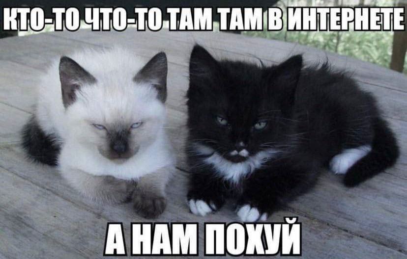А НАМ ПОХУЙ