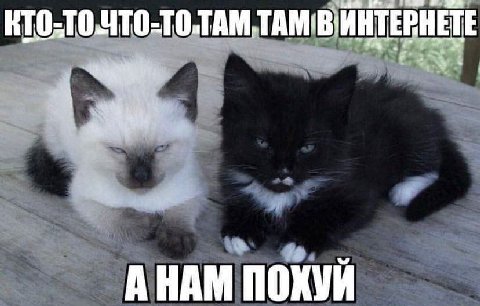 А НАМ ПОХУЙ