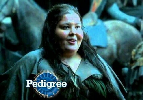 7 Pedigree