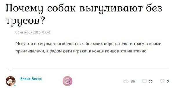 Почему собак выгуливают без трусов? Меня это возмущает, особенно псы больших пород, ходят и трясут своими причиндалами, а рядом дети играют, в конце концов это не этично! Елена Весна 50 15 0