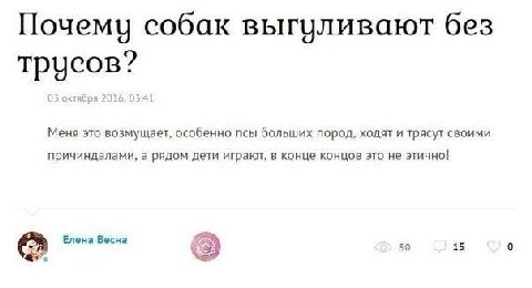 Почему собак выгуливают без трусов? Меня это возмущает, особенно псы больших пород, ходят и трясут своими причиндалами, а рядом дети играют, в конце концов это не этично! Елена Весна 50 15 0