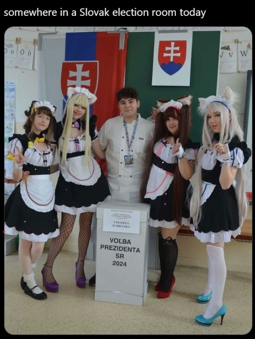 somewhere in а Slovak election room today