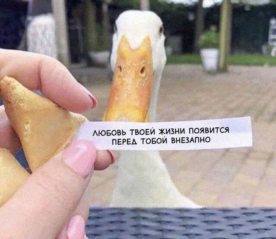 ЛЮБОВЬ ТВОЕЙ ЖИЗНИ ПОЯВИТСЯ ПЕРЕЛ ТОБОЙ ВНЕЗАПНО