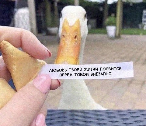 ЛЮБОВЬ ТВОЕЙ ЖИЗНИ ПОЯВИТСЯ ПЕРЕЛ ТОБОЙ ВНЕЗАПНО