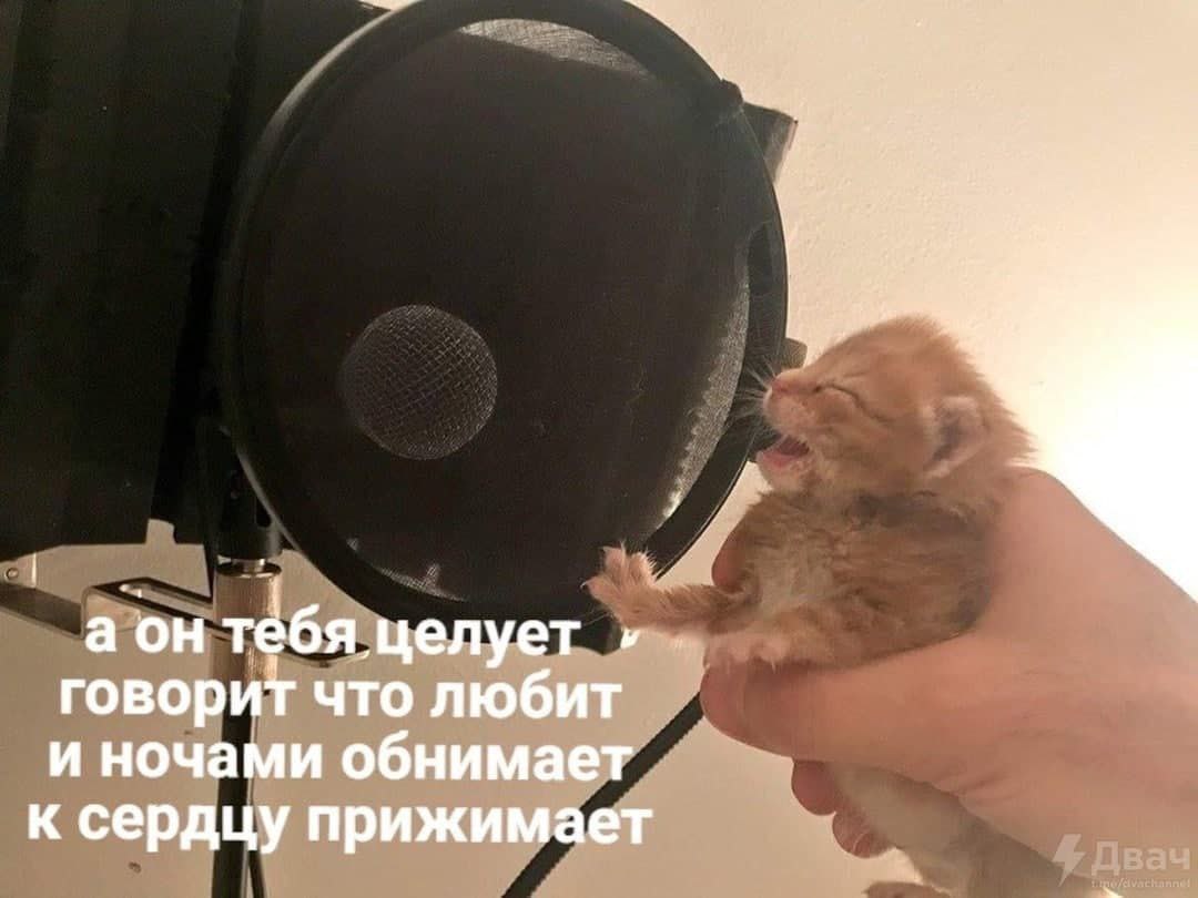 аон тебя. целует говорит что любит и ночами обнимает к сердцу прижимает
