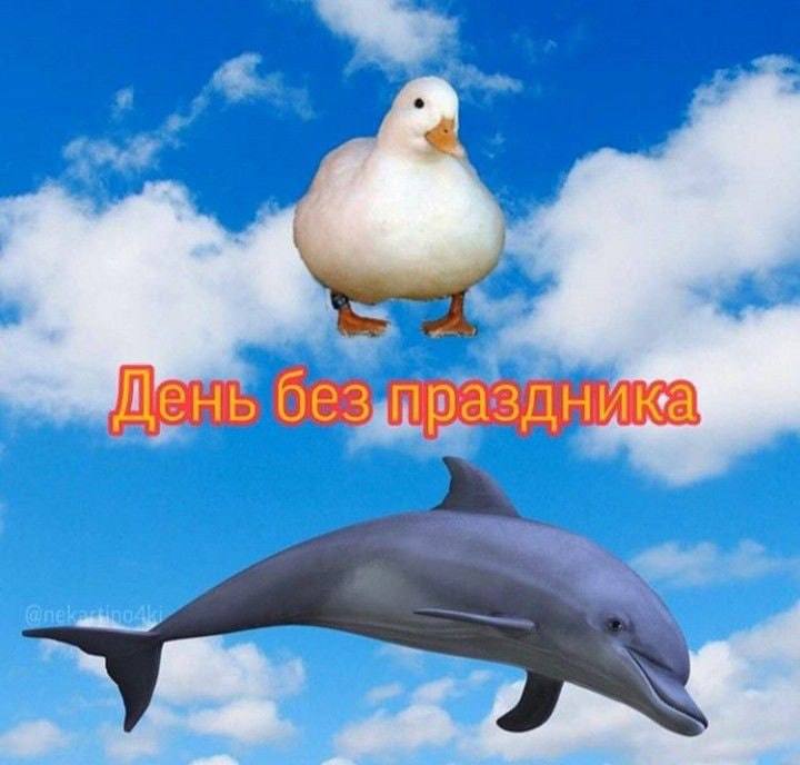 Жень без аздника