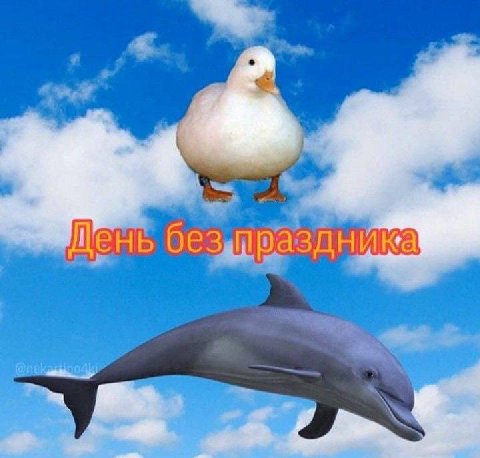 Жень без аздника