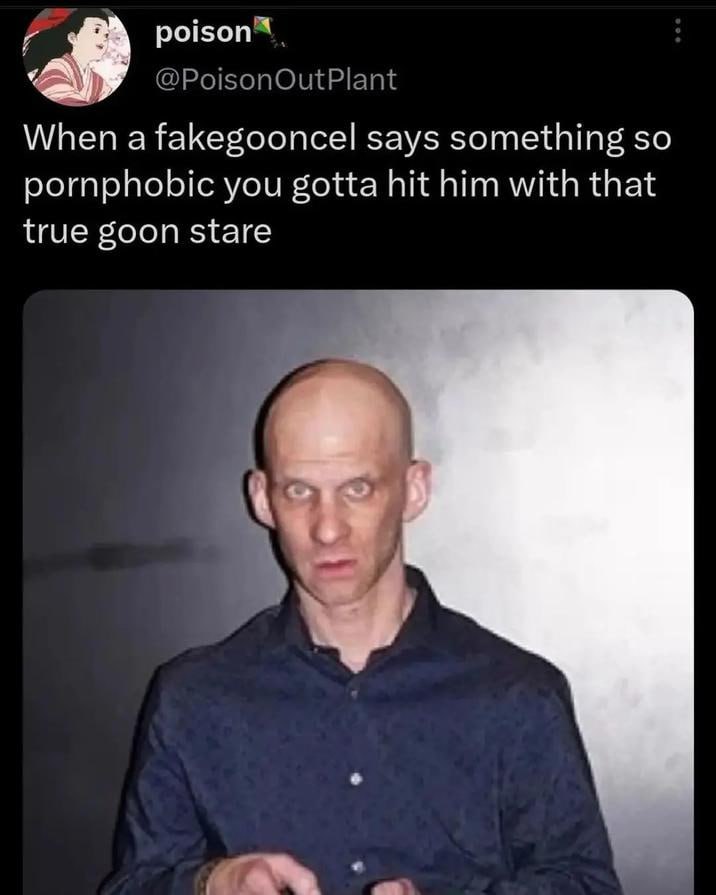 @PoisonOutPlant When a fakegooncel says something so pornphobic you gotta hit him with that true goon stare