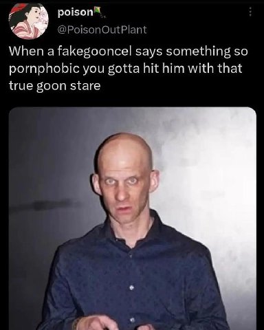 @PoisonOutPlant When a fakegooncel says something so pornphobic you gotta hit him with that true goon stare