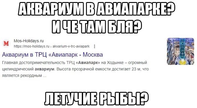 Mos-Holidays.ru https://mos-holidays.ru аКуапит-м-гс-амарак Аквариум в ТРЦ «Авиапарк Москва Главная достопримечательность ТРЦ «Авиапарк» Ходынке огромный цилиндрический аквариум. Высота прозрачной емк