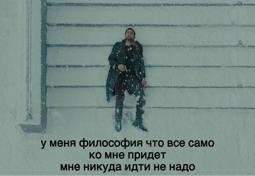 5 5 у меня философия что все само мне придет мне никуда идти не надо