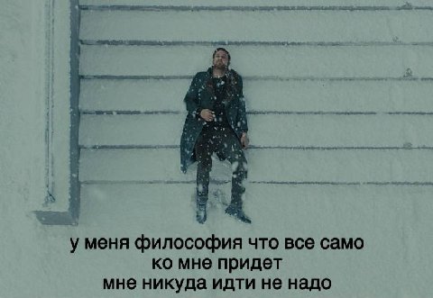 5 5 у меня философия что все само мне придет мне никуда идти не надо
