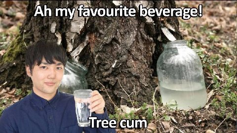 my favourite’ beverage! а Tree cum
