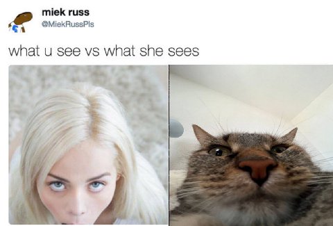 тек russ what see wnat she sees