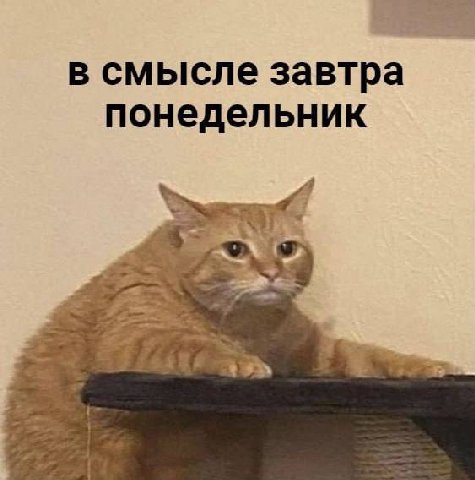 в смысле завтра понедельник