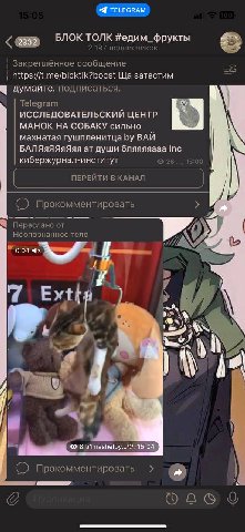это случилось. матвей обогнал блок толк по сабам. я помню как он только начинал… эх, матюша удачи тебе, ты теперь большой канал, но не забывай кто тебя поднял ;) любим всем блок толком, и бля от себя