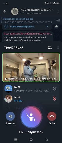 Плотническая фаза Павлы лучшая
