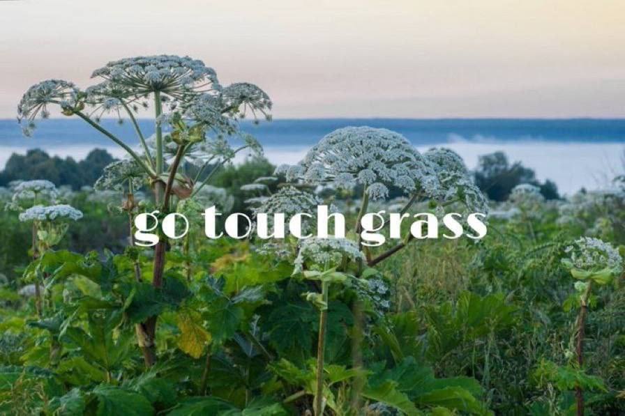 touch Crass