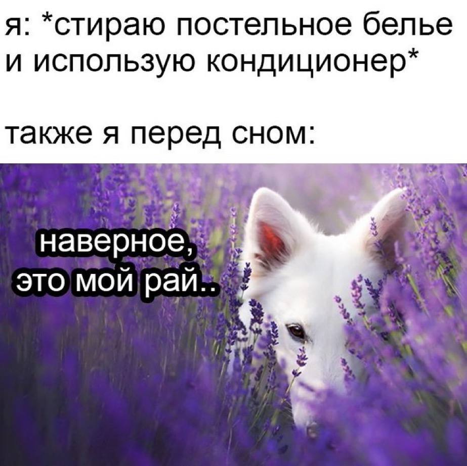 я: *стираю постельное белье и использую кондиционер также я перед сном это мой 7