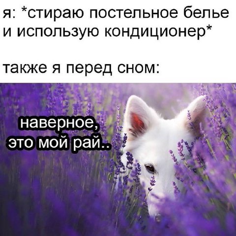я: *стираю постельное белье и использую кондиционер также я перед сном это мой 7