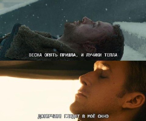 ВЕСНА ОПЯТЬ ПРИШЛА, И ЛУЧИКИ ТЕПЛА В МОЁ ОКНО