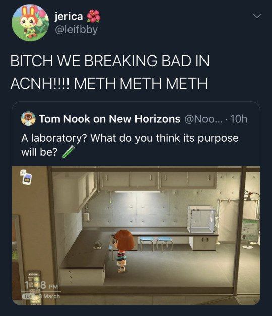 jerica BITCH WE BREAKING BAD IN АСМНИИ METH METH METH Tom Nook on New Horizons A laboratory? What you think its purpose will be?