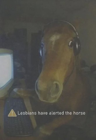 Lesbians have alerted the horse
