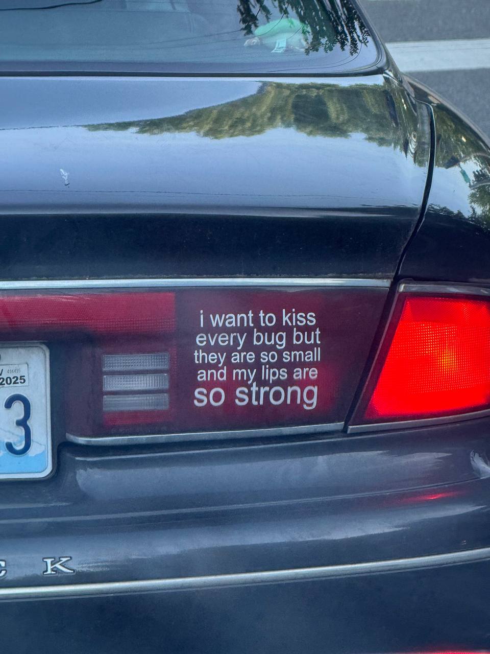 i want to kiss every bug but they are so small 025 and my lips are so strong