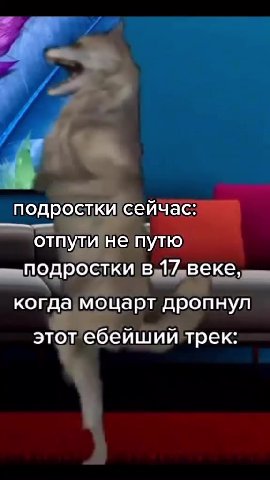 подросткисейчас: ‚ отпути не пут f подростки B 17веКе, м когда моцаруаропнул отпути непутю когда моцарт дропнул этот ебейший трек: иидодростки в 17/ ВЕКЕ po Заря сейчас: подросткиивы веке, отпули не п