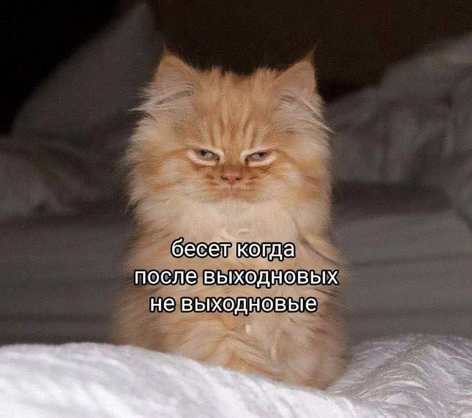 Доброе утро