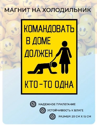 МАГНИТ НА ХОЛОДИЛЬНИК КОМАНДОВАТЬ В ДОМЕ ДОЛЖЕН КТО-ТО ОДНА