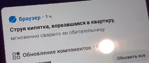 Браузер Струя кипятка, ворвавшаяся в мгновенно сварила ее обновление компонентов обновить BCE