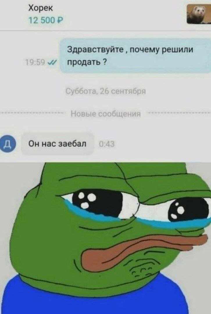 12 50 12 500 Здравствуйте почему решили продать? A) нас заебал
