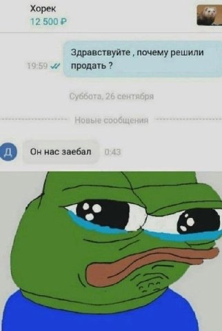 12 50 12 500 Здравствуйте почему решили продать? A) нас заебал