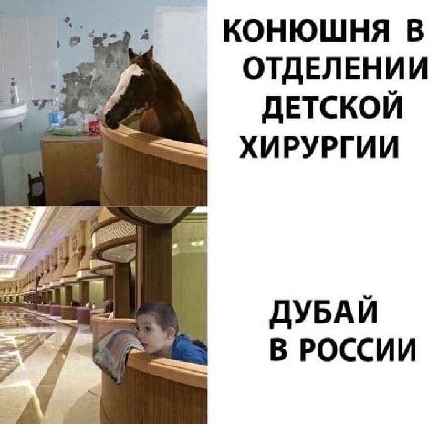 КОНЮШНЯ В ОТДЕЛЕНИИ ДЕТСКОЙ ХИРУРГИИ ДУБАЙ В РОССИИ 7