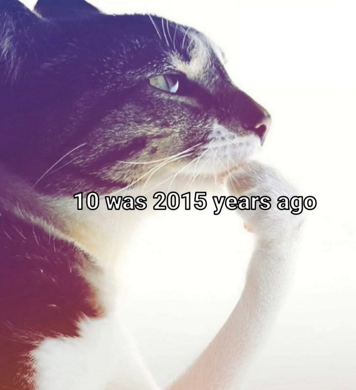 2015 years ago
