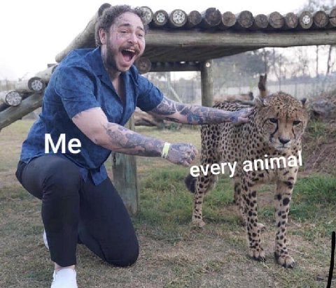 including you🥰