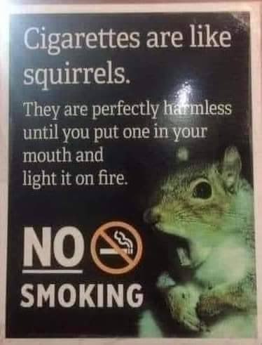 ettes are like 4 rels ‘They are until you put one mouth and light it on fire SMOKING