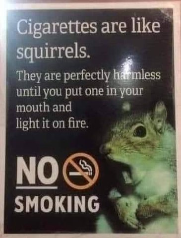 ettes are like 4 rels ‘They are until you put one mouth and light it on fire SMOKING