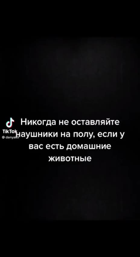 dé Никогда He оставляйте птонаушники на полу, если у вас есть домашние животные