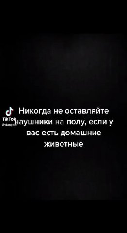dé Никогда He оставляйте птонаушники на полу, если у вас есть домашние животные
