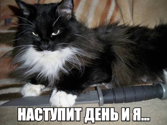 НАСТУПИТ ДЕНЬ И Я...