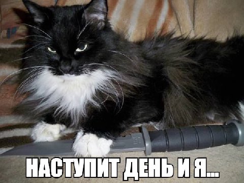 НАСТУПИТ ДЕНЬ И Я...