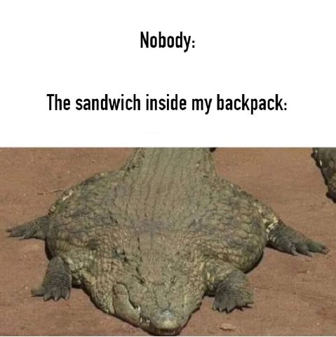 Nobody: The sandwich inside my backpack: