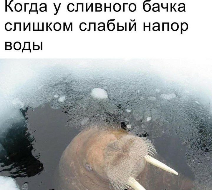 когда у сливного бачка слишком слабый напор воды 2 AWS