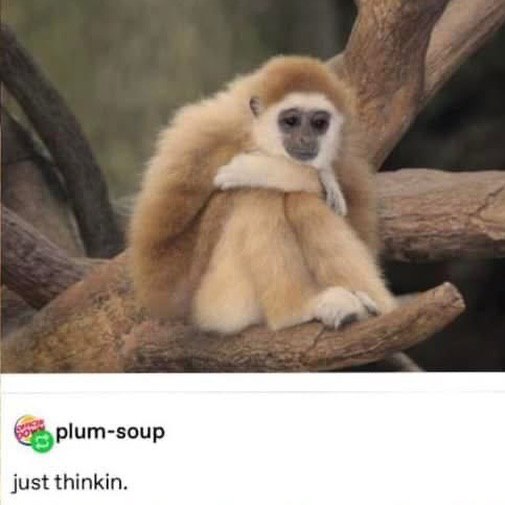 just thinkin.